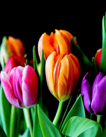 Ms. Theresa J. Ross Obituary